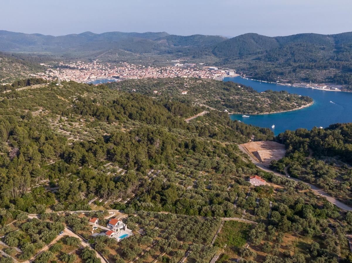 Villa Barbara - Olive Paradise, With Chlorine-Free Pool فيلا لوكا المظهر الخارجي الصورة
