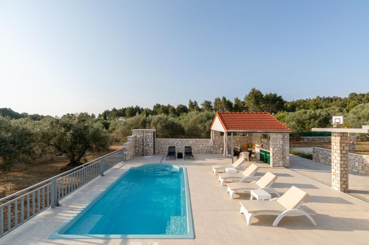 Villa Barbara - Olive Paradise, With Chlorine-Free Pool فيلا لوكا المظهر الخارجي الصورة